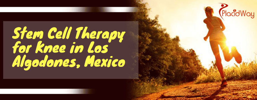 Stem Cell Therapy for Knee in Los Algodones, Mexico